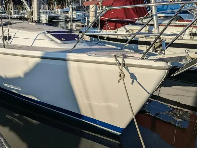 Catalina 33