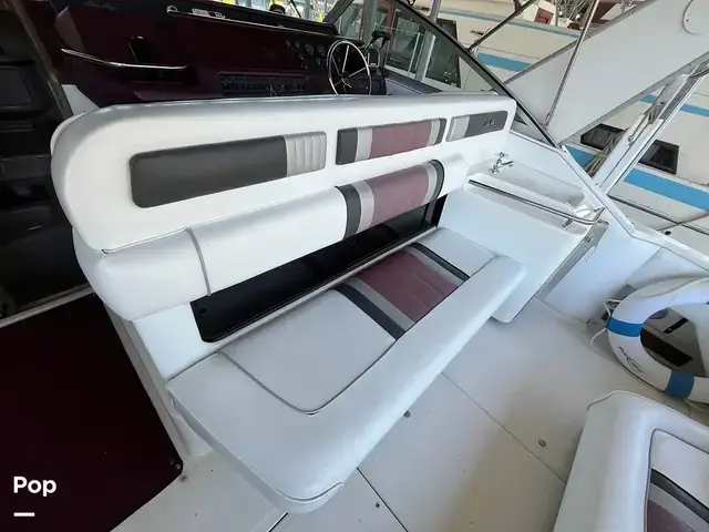 Sea Ray 310 Sundancer