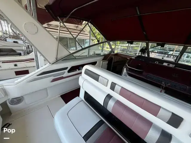 Sea Ray 310 Sundancer