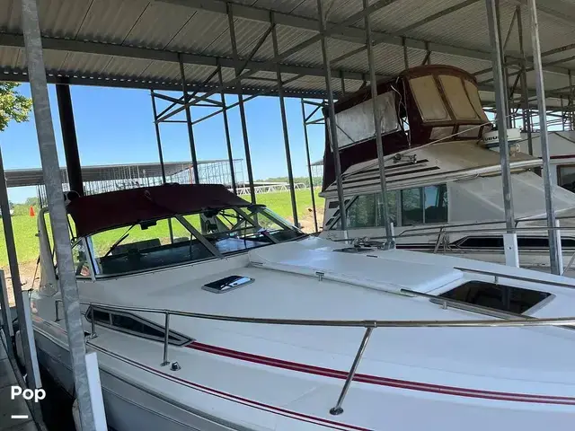 Sea Ray 310 Sundancer