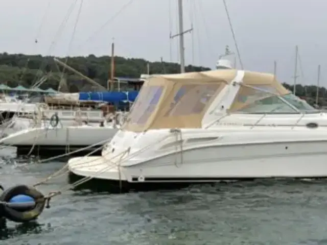 Sea Ray Sea Ray 410 Express Cruiser