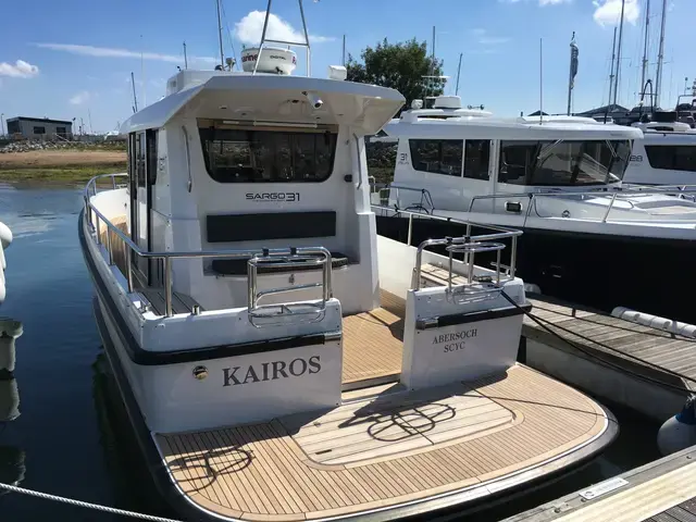 Sargo 31