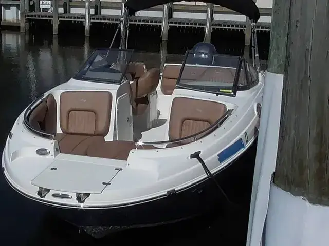 Stingray 231 Dc