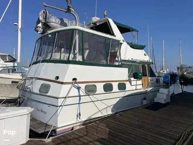 Trader 43 Double Cabin