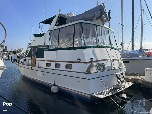 Trader 43 Double Cabin