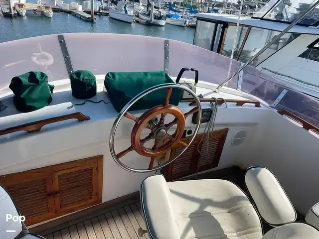 Trader 43 Double Cabin