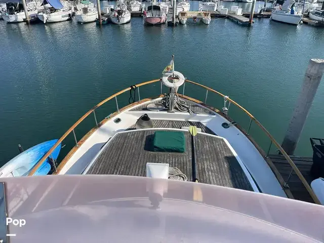 Trader 43 Double Cabin