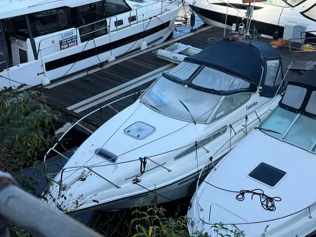 Sealine 260 Senator