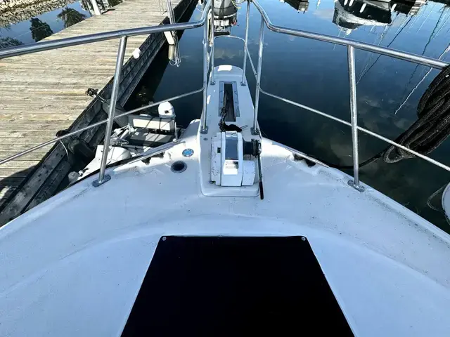 Carver 430 Cockpit Motor Yacht