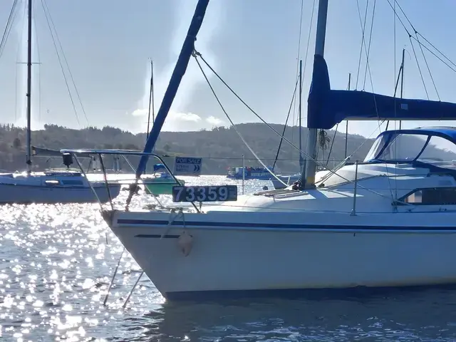 Hunter Horizon 26