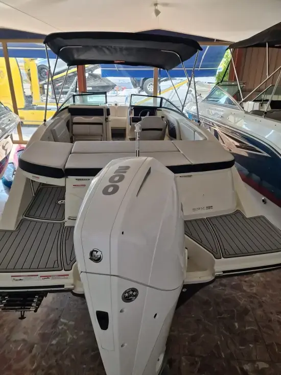 2024 Sea Ray 230 spx outboard