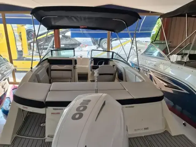 Sea Ray 230 SPX Outboard