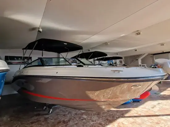 2024 Sea Ray 230 spx outboard