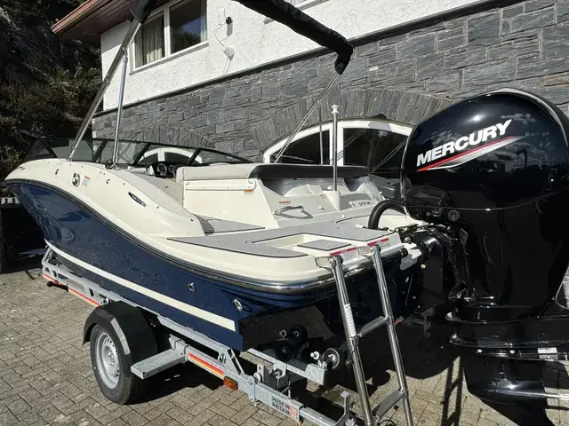 Sea Ray 190 Spx Ob