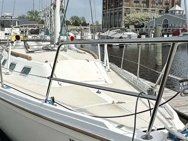 Catalina 34