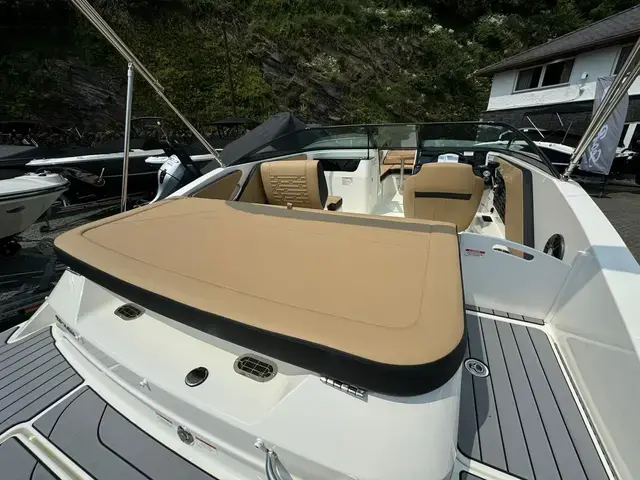 Sea Ray 190 Spx