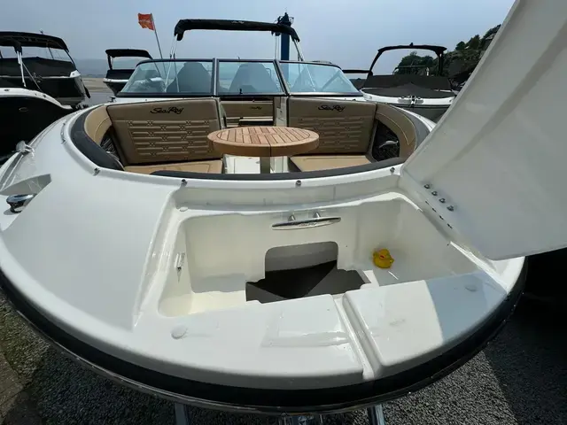 Sea Ray 190 Spx