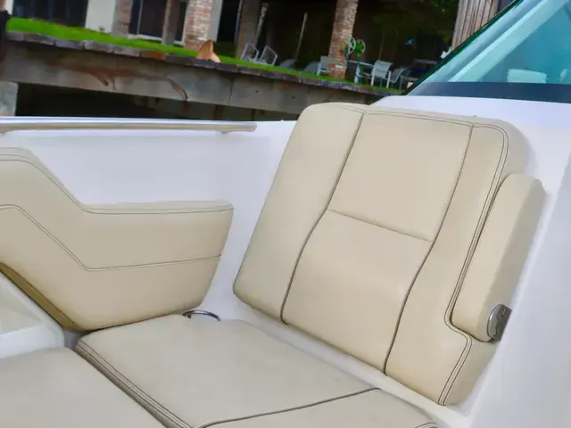 Pursuit 295 Dual Console