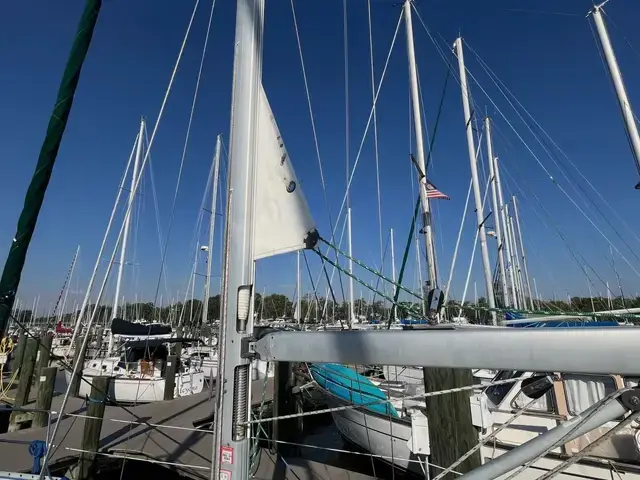 Beneteau 36