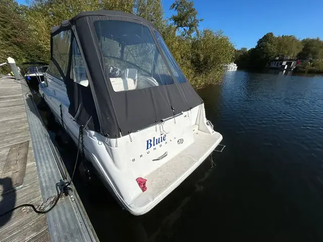 Bayliner Cierra 2655