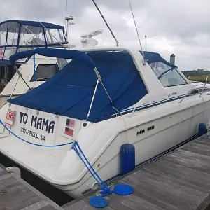 1991 Sea Ray Sundancer 350