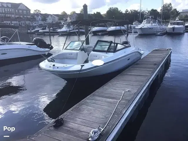 Sea Ray 210 Spx