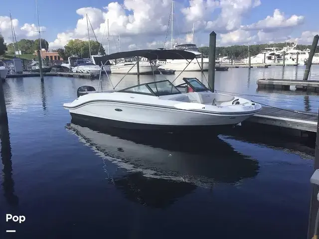 Sea Ray 210 Spx