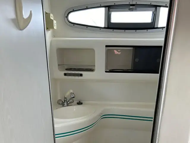 Sealine 310 Ambassador