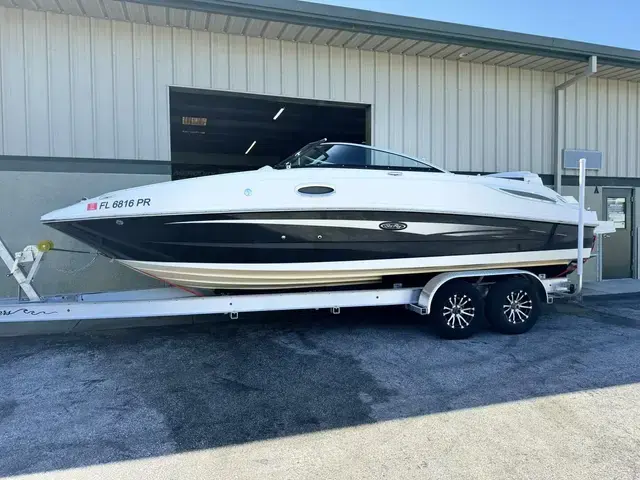 Sea Ray 260 Sundeck