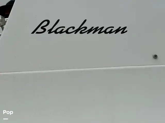 Blackman 26 Billfisher