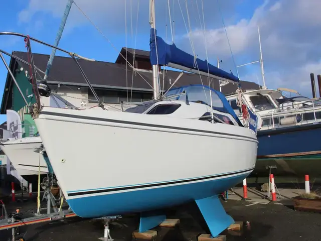 Hunter Ranger 245