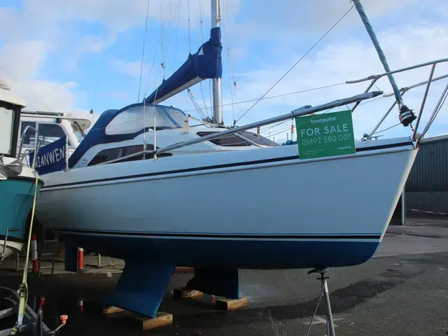 Hunter Ranger 245