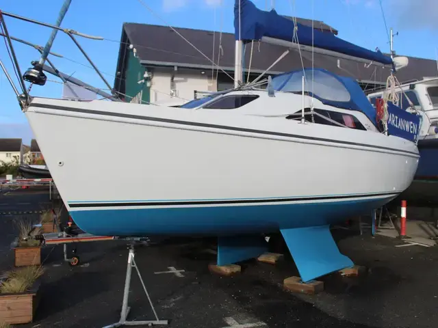 Hunter Ranger 245