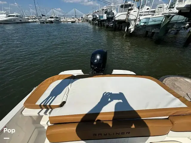 Bayliner VR6 OB