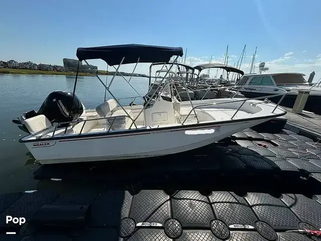 Boston Whaler 170 Montauk