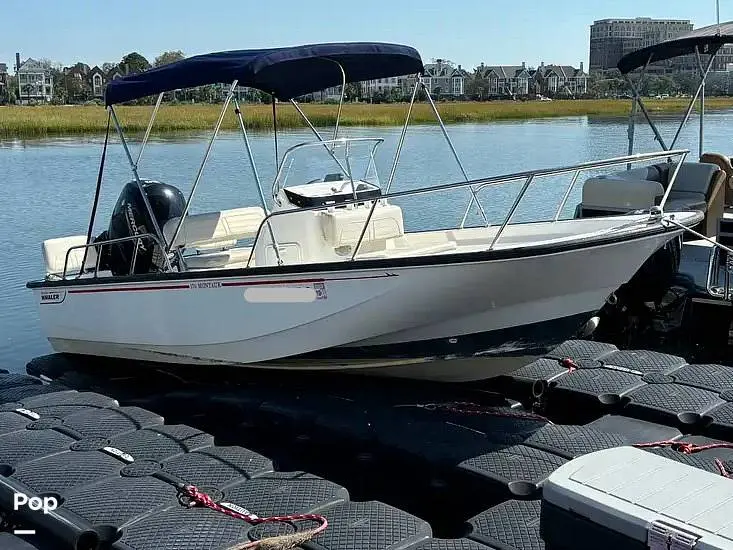 2022 Boston Whaler 170 montauk