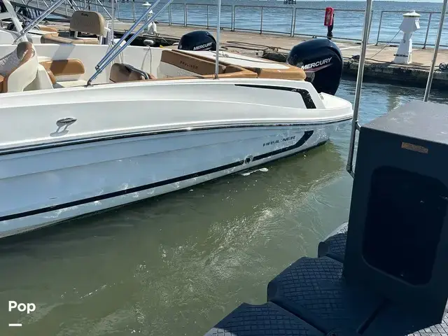 Bayliner VR6 OB