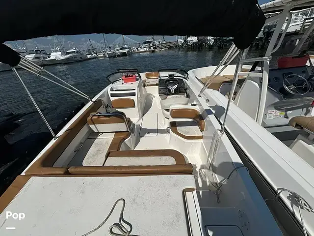 Bayliner VR6 OB