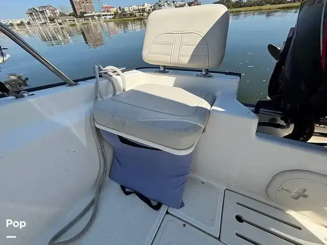 Boston Whaler 170 Montauk