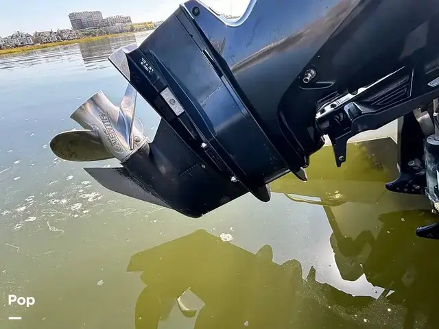 Boston Whaler 170 Montauk