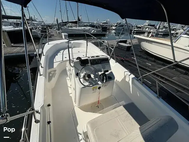 Boston Whaler 170 Montauk