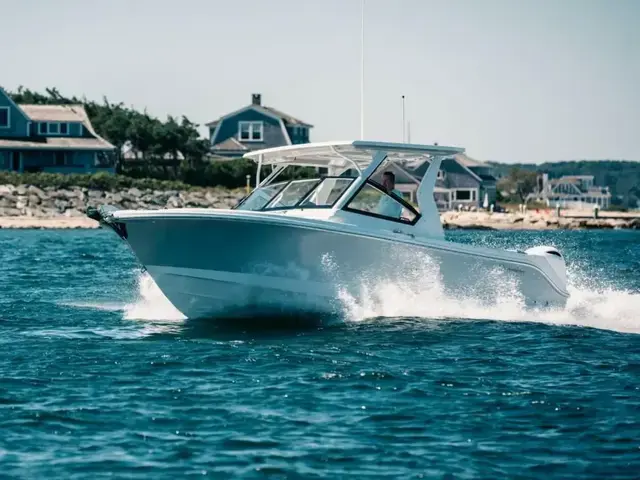 Edgewater boats 262 CX