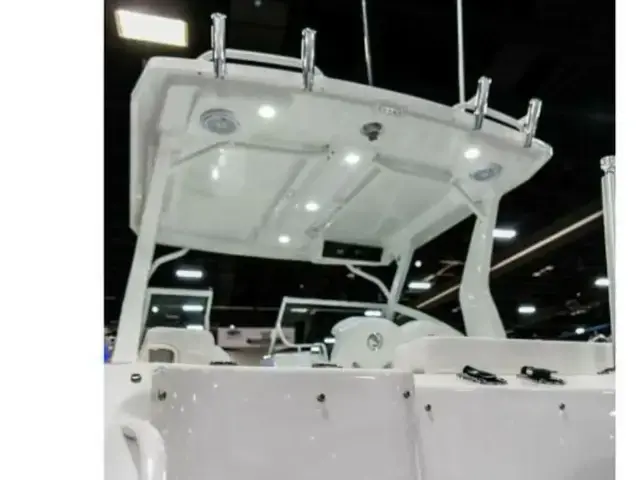 Edgewater boats 262 CX