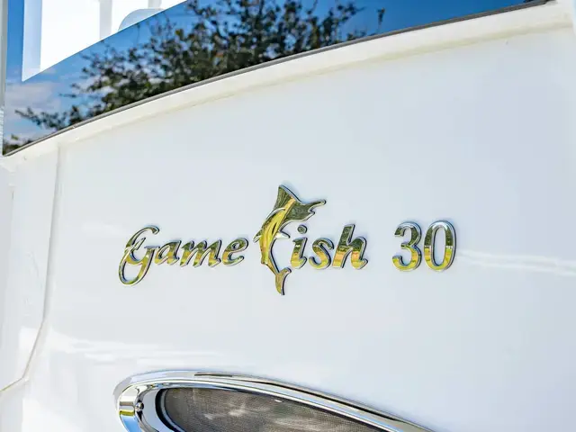 Sea Hunt Boats Gamefish 30 CB