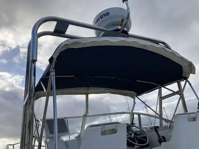 Boston Whaler 21 Conquest