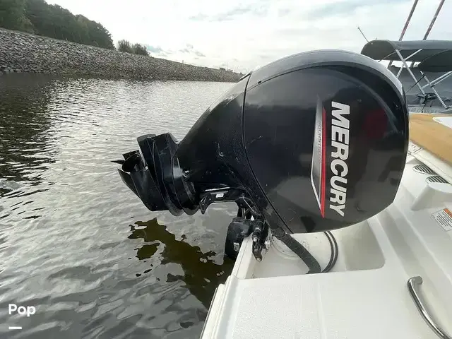 Bayliner VR6 OB