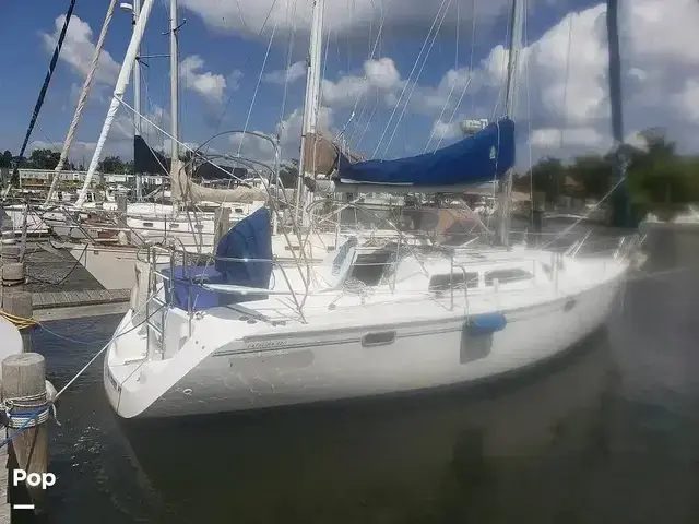 Catalina 320