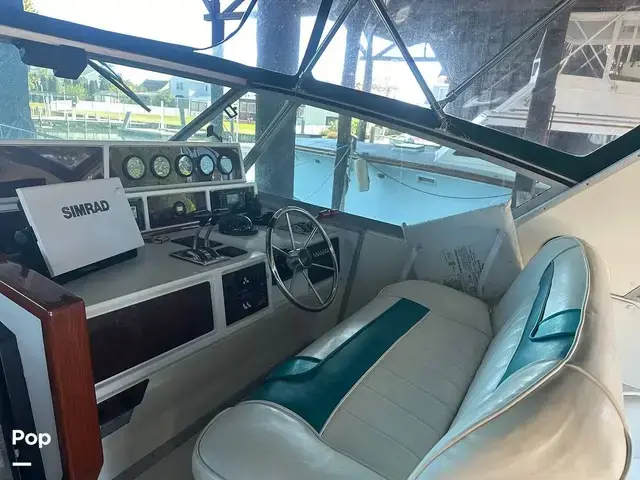 Sea Ray 390