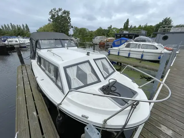 Viking 20