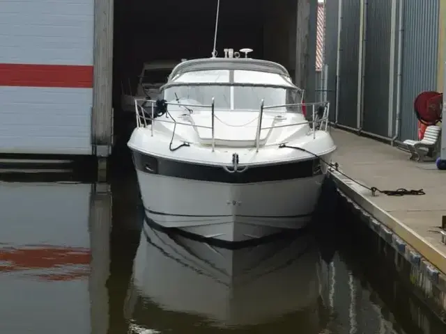 Bavaria Sport 33